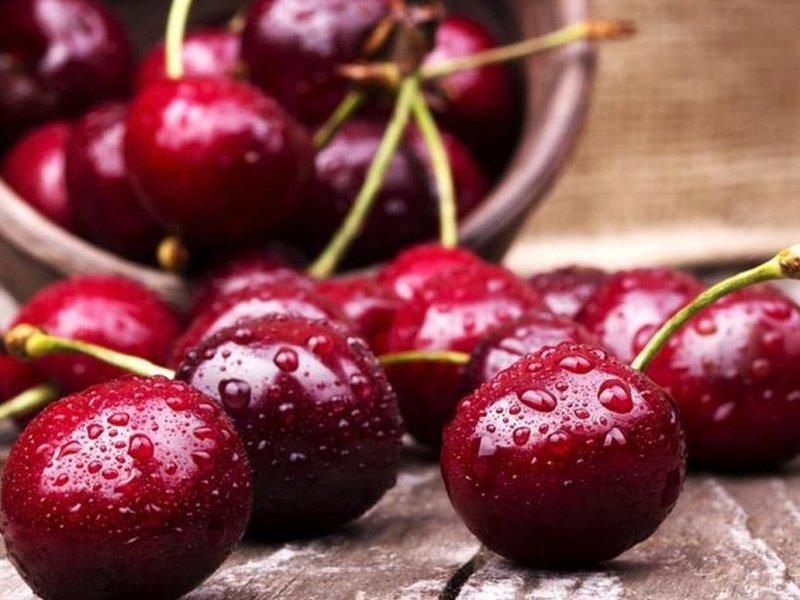 Вишня купить саженцы из питомника в Ханты-Мансийске